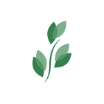 BKD Stock Logo