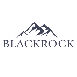Stock BKRRF logo