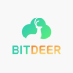 BTDR Stock Logo