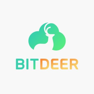 Stock BTDR logo