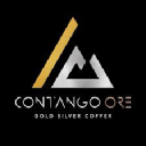 Stock CTGO logo