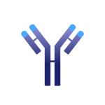 IMVT Stock Logo