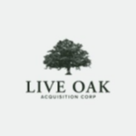 LOKV Stock Logo