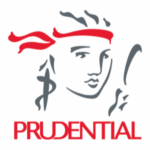 Stock PUK logo