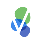 VSTM Stock Logo